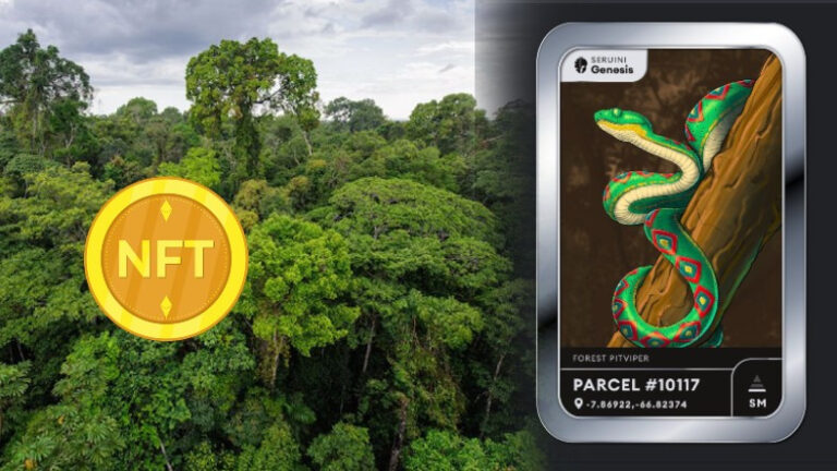 Amazon Ormanlarını NFT’ler Kurtarabilir