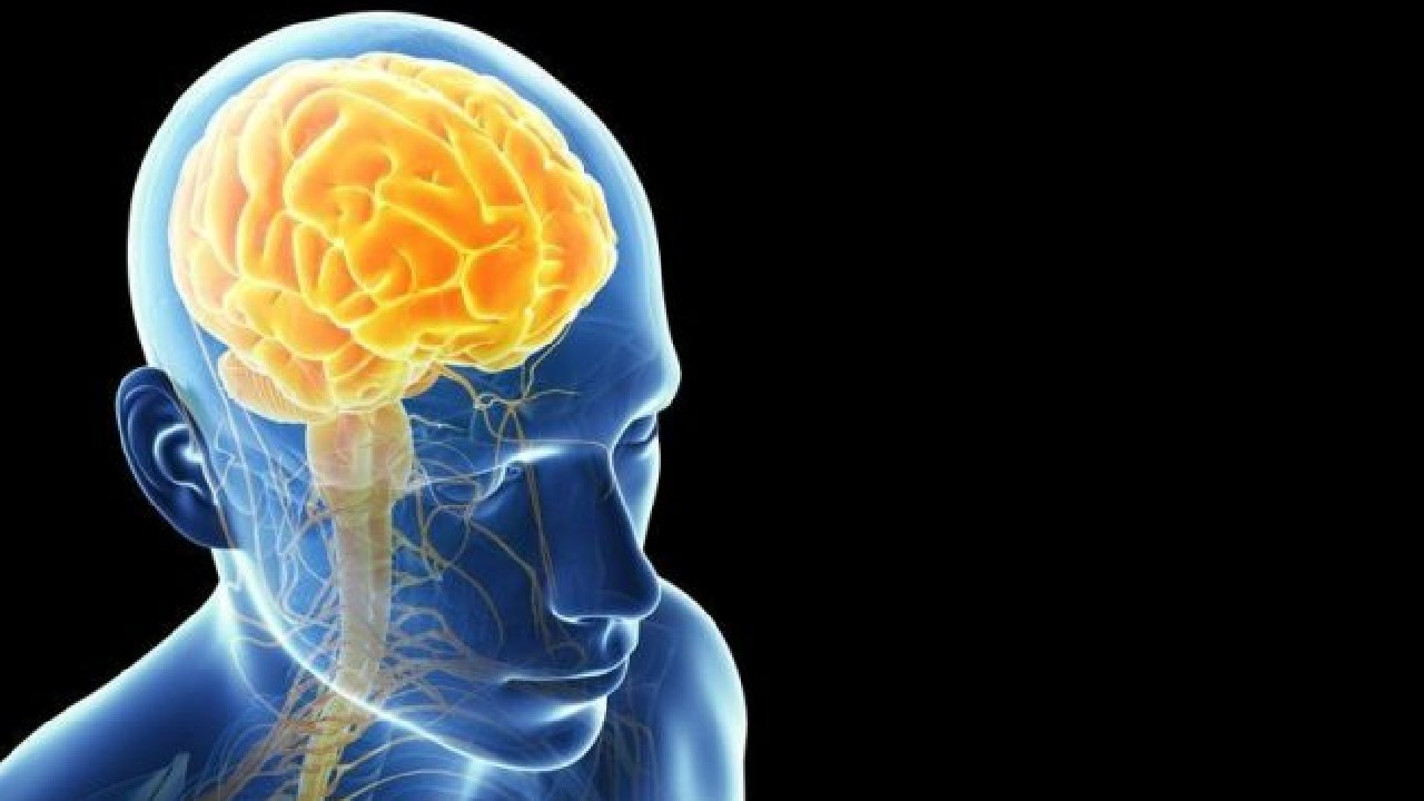 Beynin Konuşma Rahatsızlıklarına Sebep Olan Bölgesi Bulundu - Yerli Portal