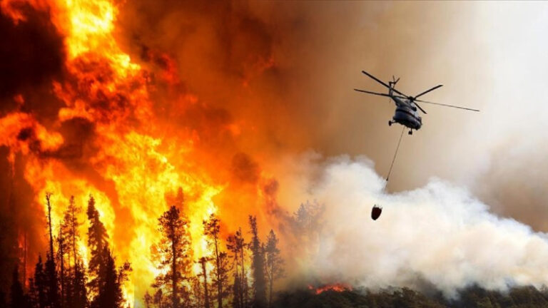 Çanakkale, Bursa ve Bilecik’te Orman Yangını Alarmı