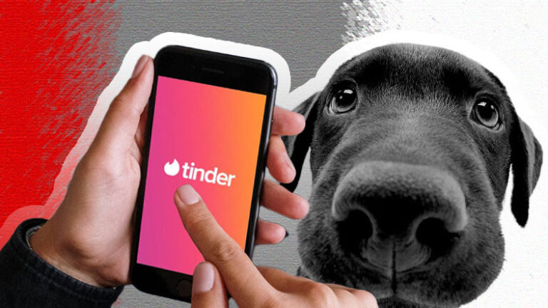 Tinder’a ‘Köpek Sahiplendirme’ Özelliği Geldi